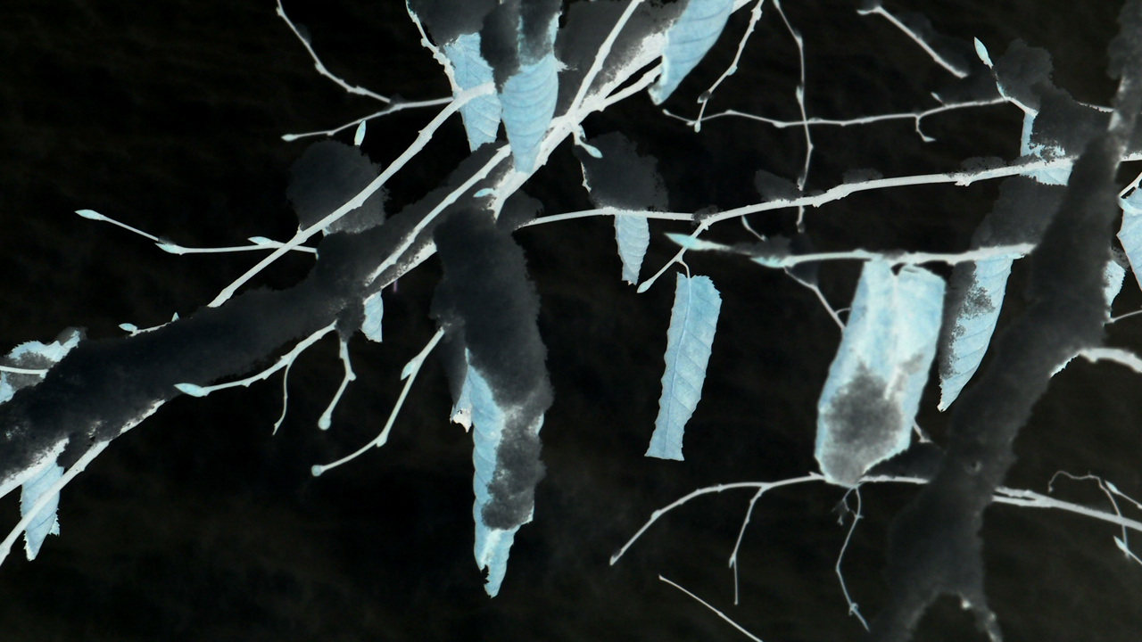 2021-01-30 Wasser in der Sple II (Remix Sonatas & Interludes, On-Off) (Komposition, Remix, Recording, Foto)