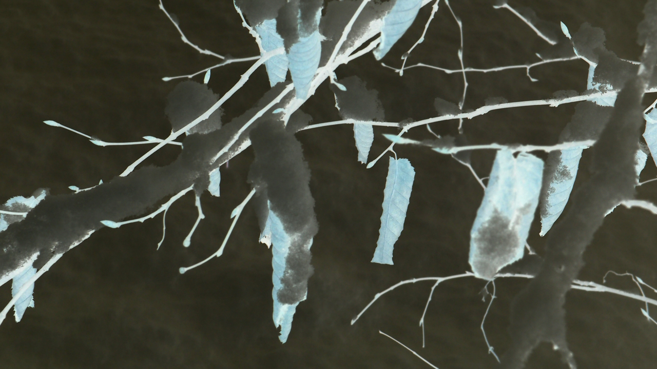 2021-01-30 Wasser in der Sple II (Remix Sonatas & Interludes, On-Off) (Komposition, Remix, Recording, Foto)