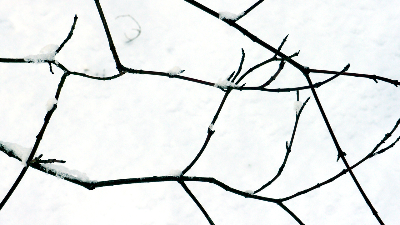 2021-01-30 Wasser in der Sple II (Remix Sonatas & Interludes, On-Off) (Komposition, Remix, Recording, Foto)