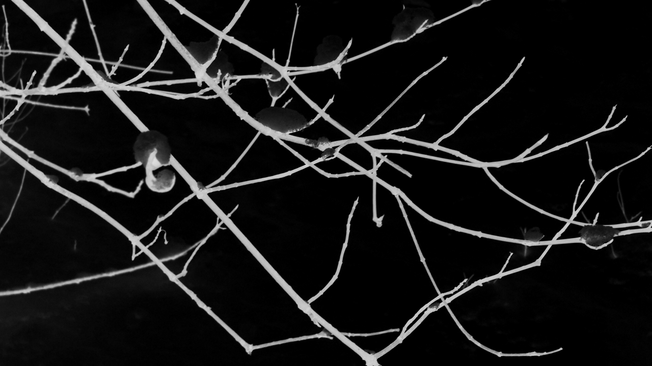 2021-01-30 Wasser in der Sple II (Remix Sonatas & Interludes, On-Off) (Komposition, Remix, Recording, Foto)