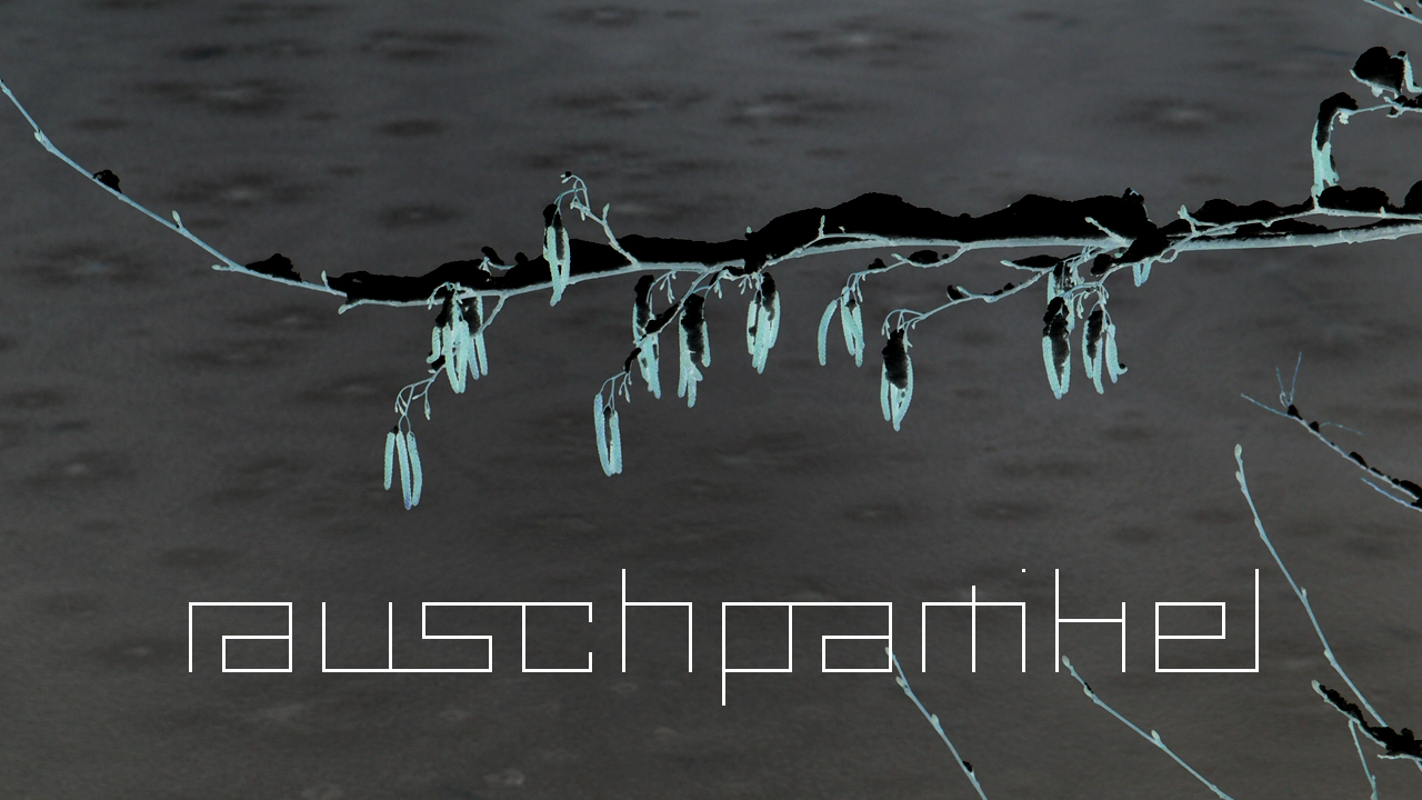 2021-01-30 Wasser in der Sple II (Remix Sonatas & Interludes, On-Off) (Komposition, Remix, Recording, Foto)