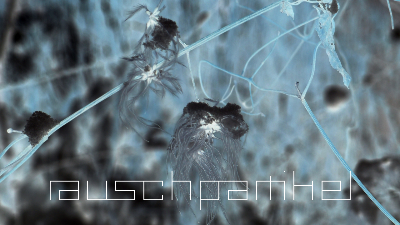 2021-01-30 Wasser in der Sple II (Remix Sonatas & Interludes, On-Off) (Komposition, Remix, Recording, Foto)