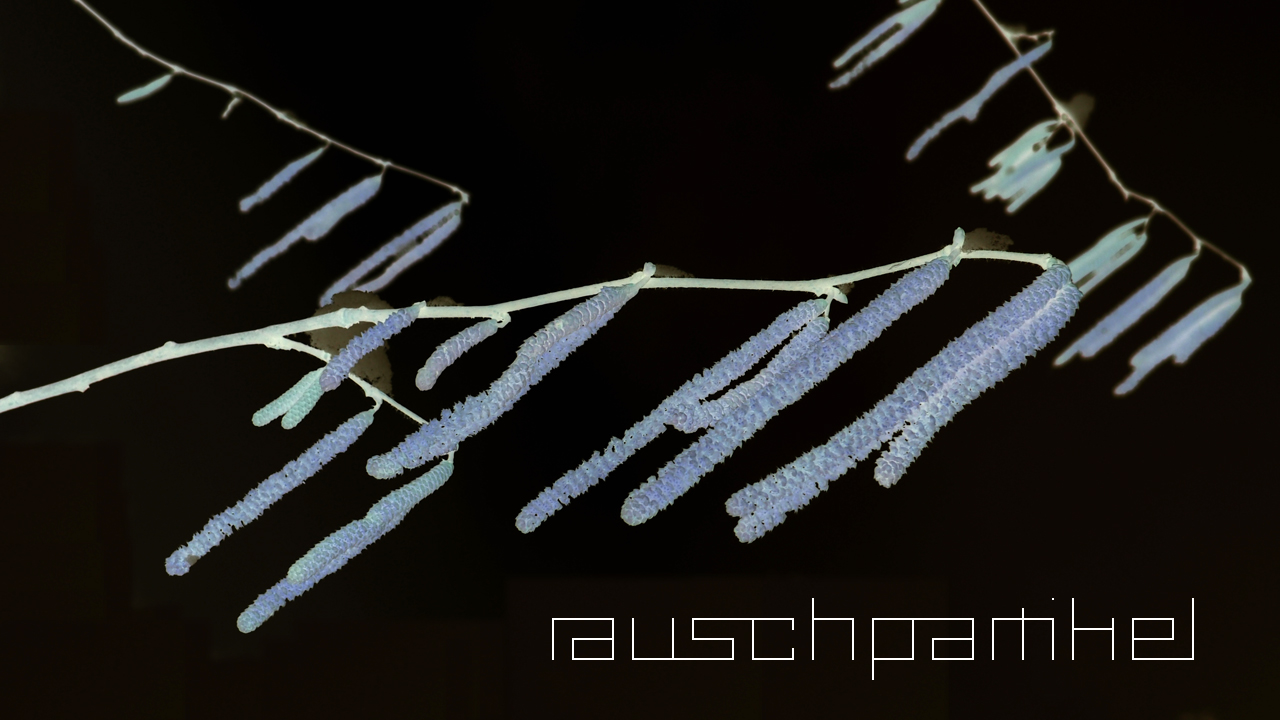 2021-01-30 Wasser in der Sple II (Remix Sonatas & Interludes, On-Off) (Komposition, Remix, Recording, Foto)