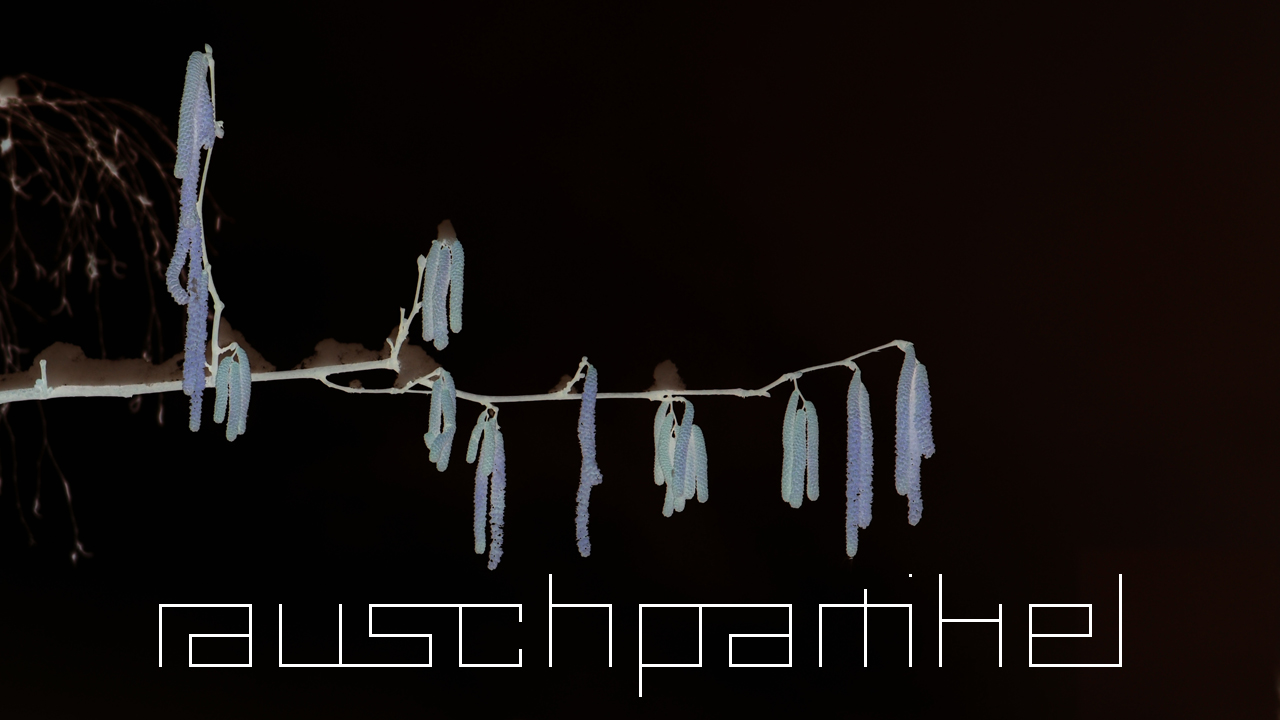 2021-01-30 Wasser in der Sple II (Remix Sonatas & Interludes, On-Off) (Komposition, Remix, Recording, Foto)