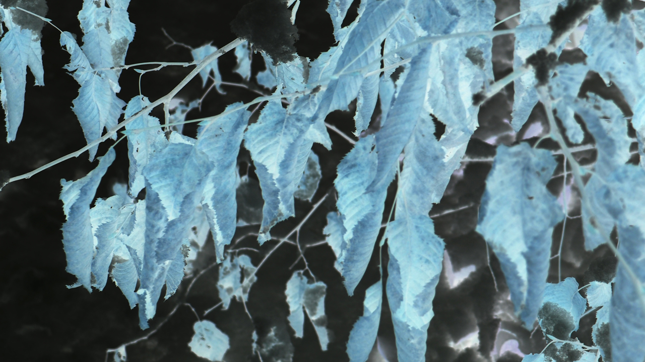 2021-01-30 Wasser in der Sple II (Remix Sonatas & Interludes, On-Off) (Komposition, Remix, Recording, Foto)
