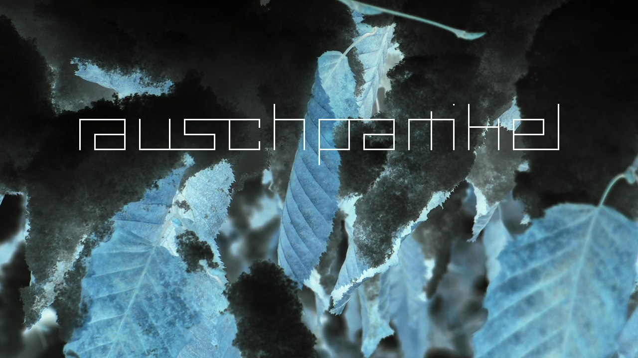 2021-01-30 Wasser in der Sple II (Remix Sonatas & Interludes, On-Off) (Komposition, Remix, Recording, Foto)