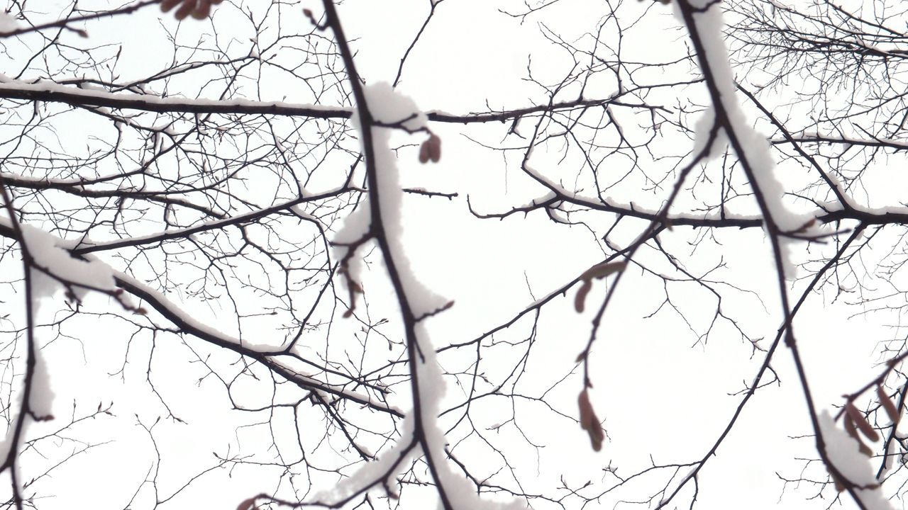2021-01-30 Wasser in der Sple II (Remix Sonatas & Interludes, On-Off) (Komposition, Remix, Recording, Foto)