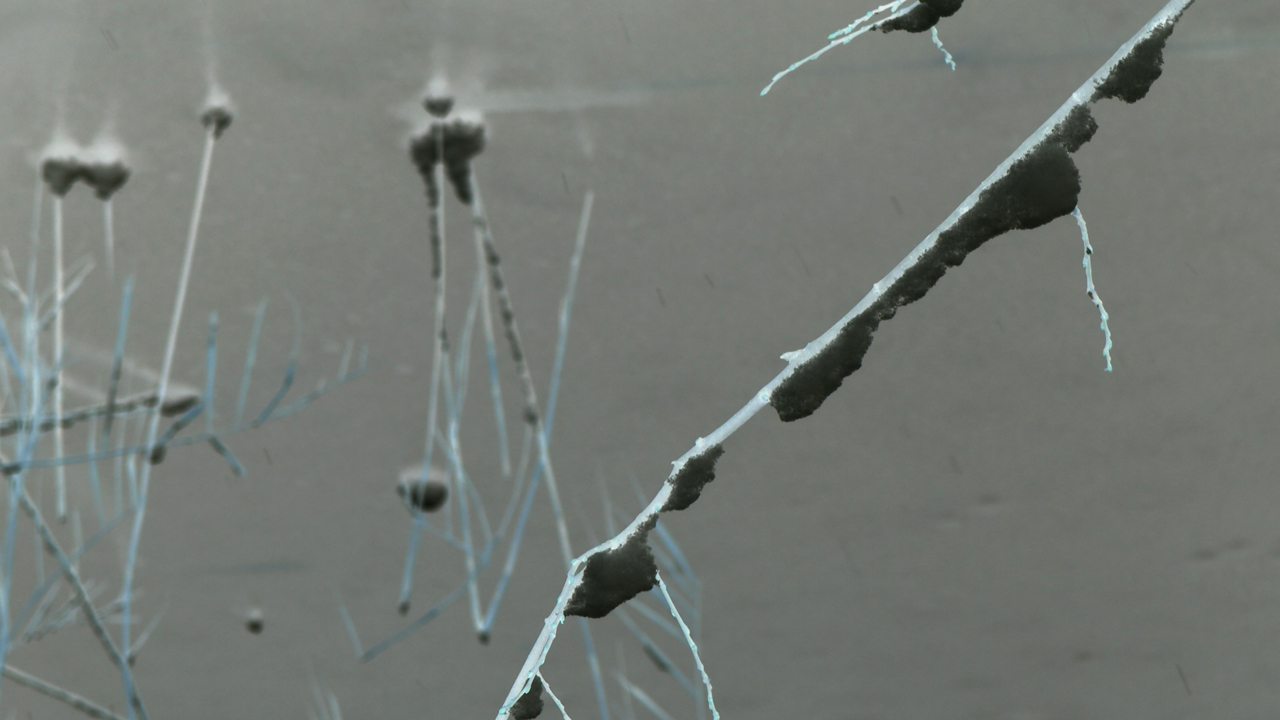 2021-01-30 Wasser in der Sple II (Remix Sonatas & Interludes, On-Off) (Komposition, Remix, Recording, Foto)