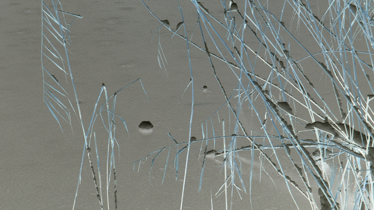 2021-01-30 Wasser in der Sple II (Remix Sonatas & Interludes, On-Off) (Komposition, Remix, Recording, Foto)