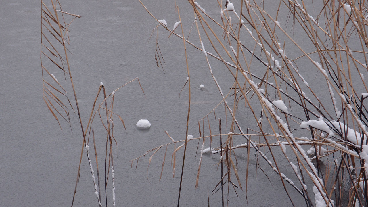 2021-01-30 Wasser in der Sple II (Remix Sonatas & Interludes, On-Off) (Komposition, Remix, Recording, Foto)
