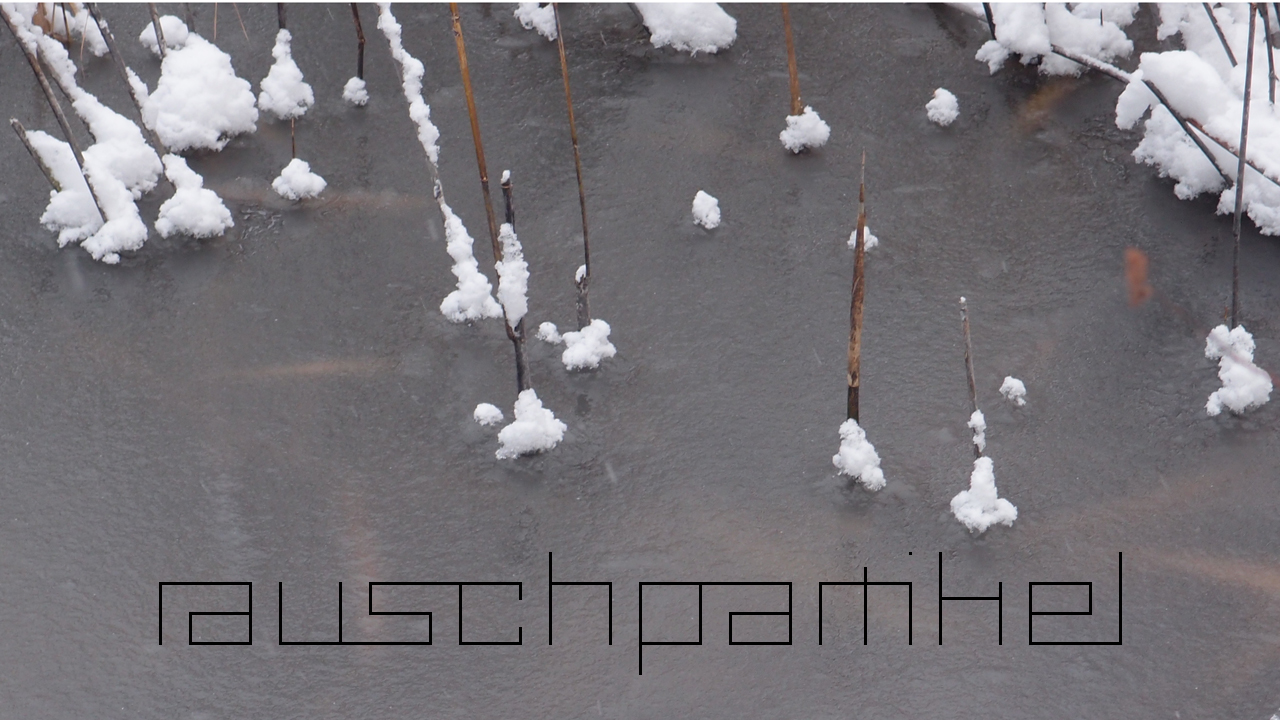 2021-01-30 Wasser in der Sple II (Remix Sonatas & Interludes, On-Off) (Komposition, Remix, Recording, Foto)