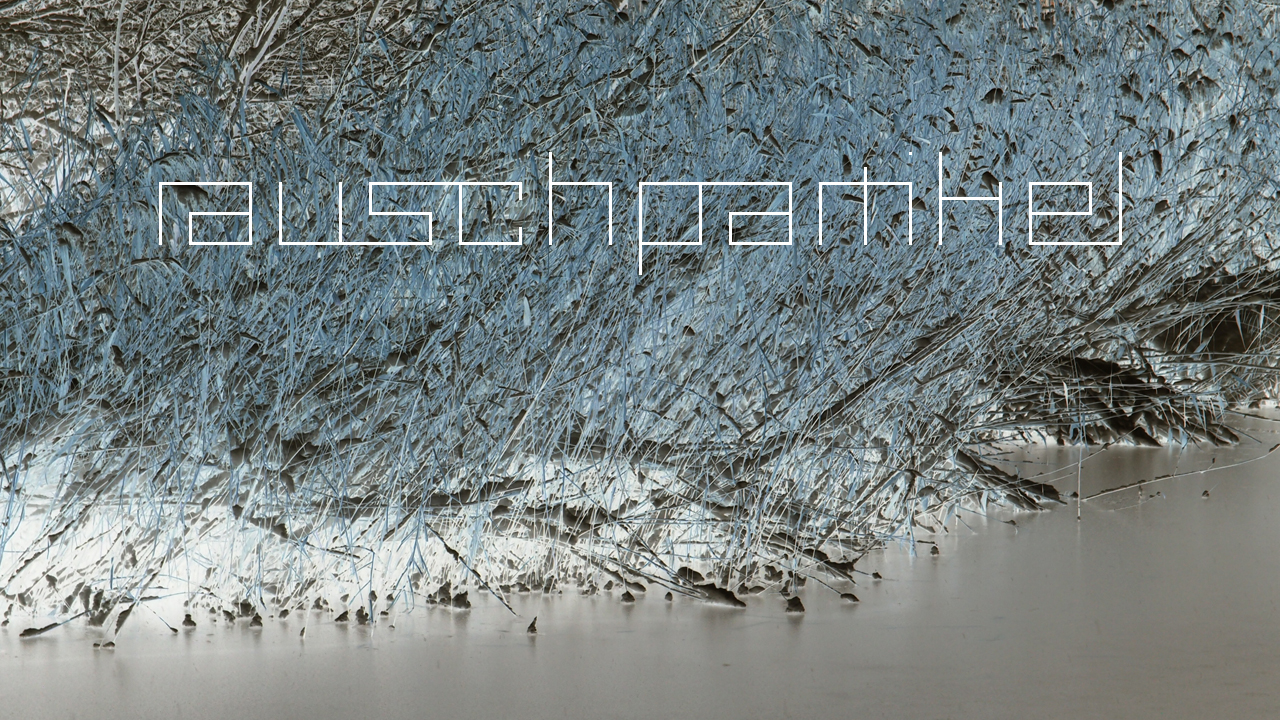 2021-01-30 Wasser in der Sple II (Remix Sonatas & Interludes, On-Off) (Komposition, Remix, Recording, Foto)