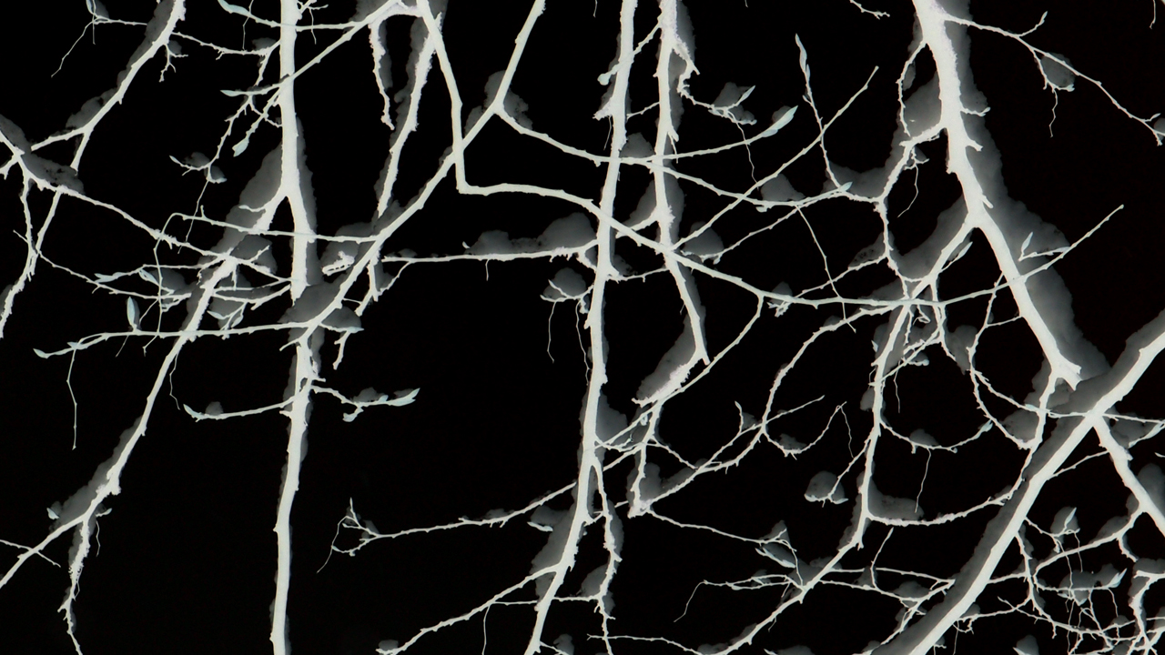 2021-01-30 Wasser in der Sple II (Remix Sonatas & Interludes, On-Off) (Komposition, Remix, Recording, Foto)