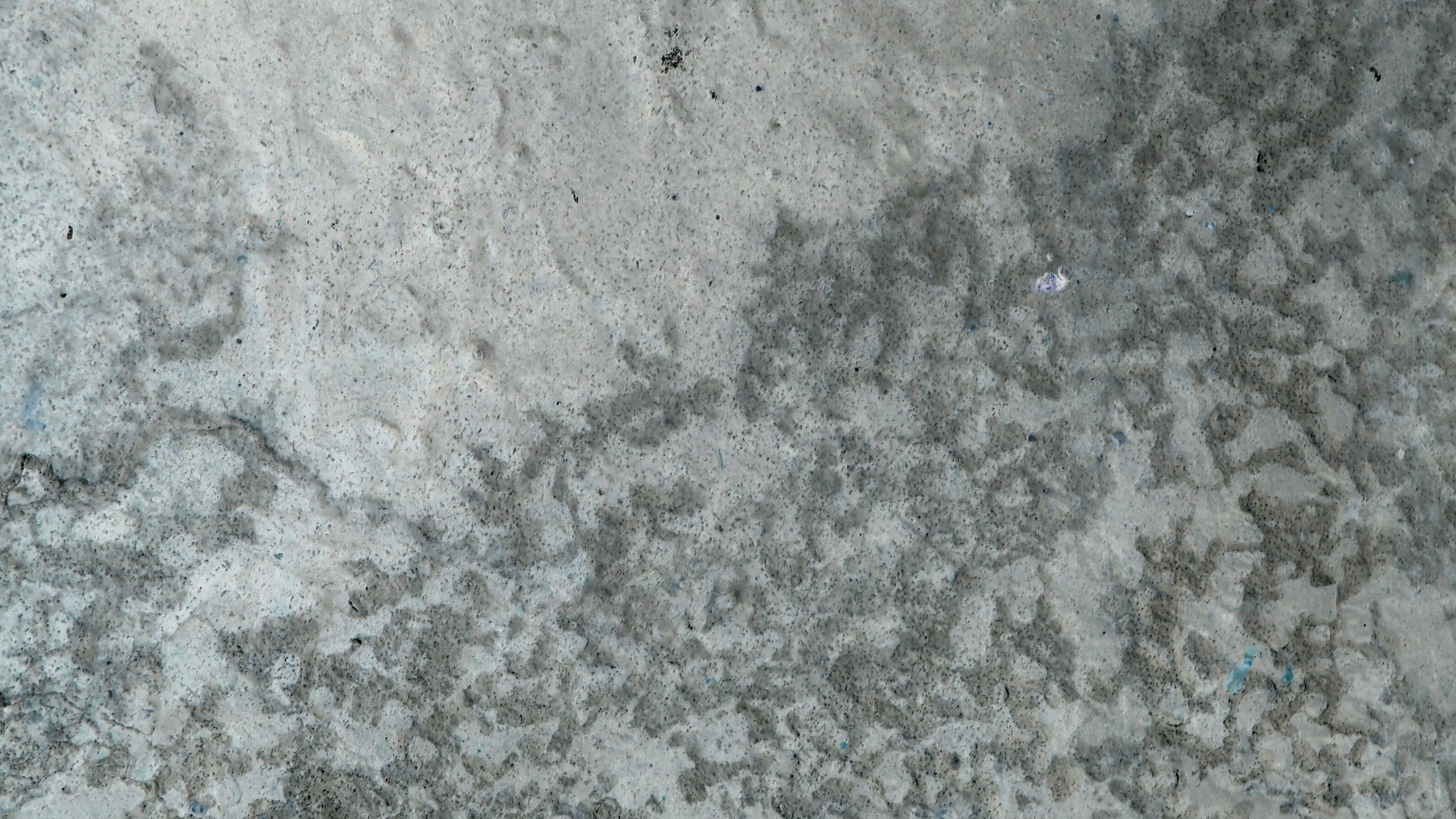 2021-02-02 Wasser in der Sple II, On-Off mit Parameterwechsel (Remix John Cage 'Book Of Music') (Komposition, Remix, Recording, Foto)