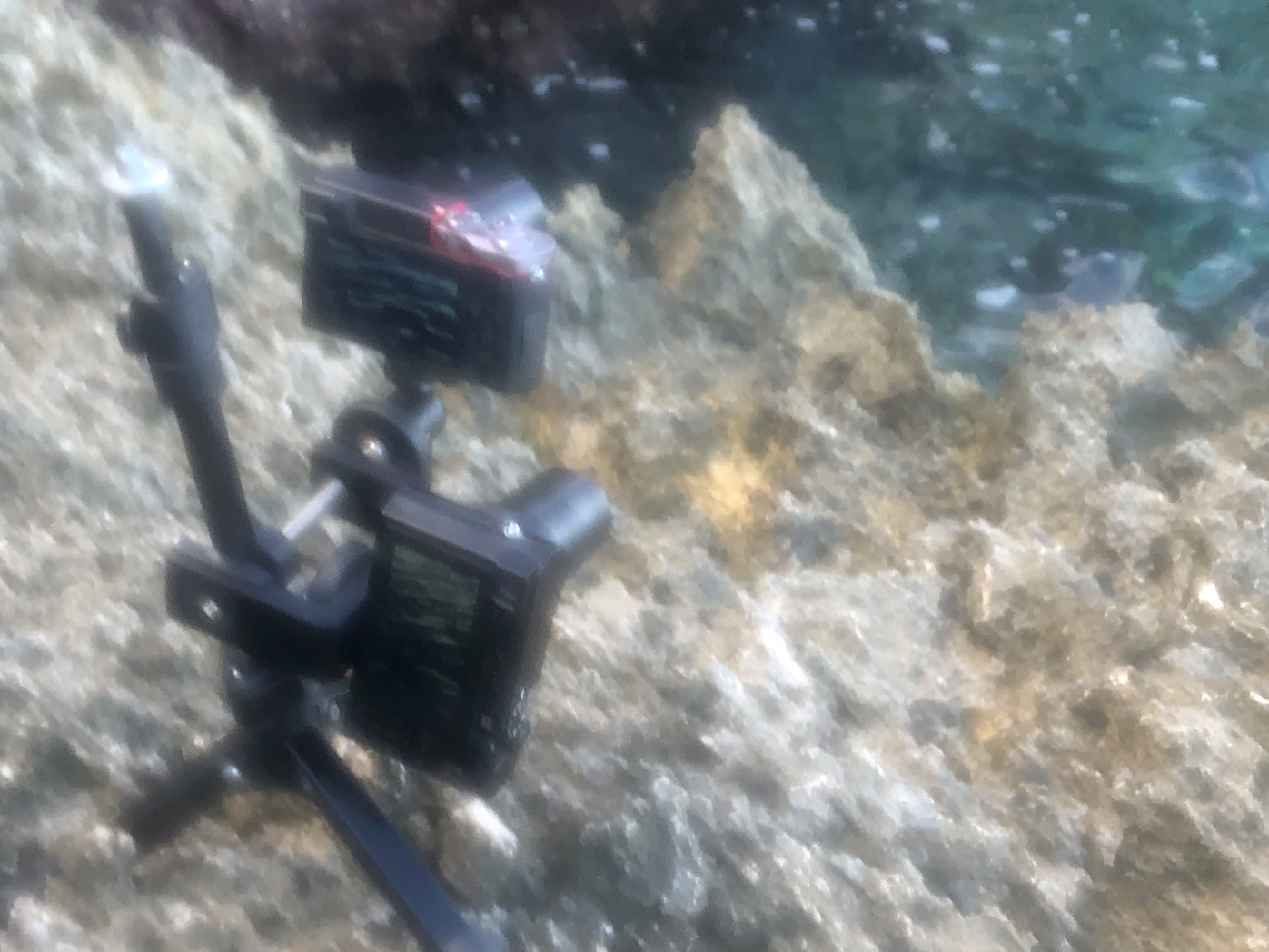 2025-11 Marazul Dive Reseort (Foto, Video)