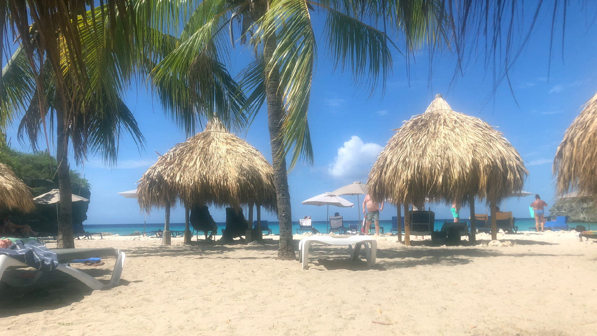 2025-11 Marazul Dive Reseort (Foto, Video)