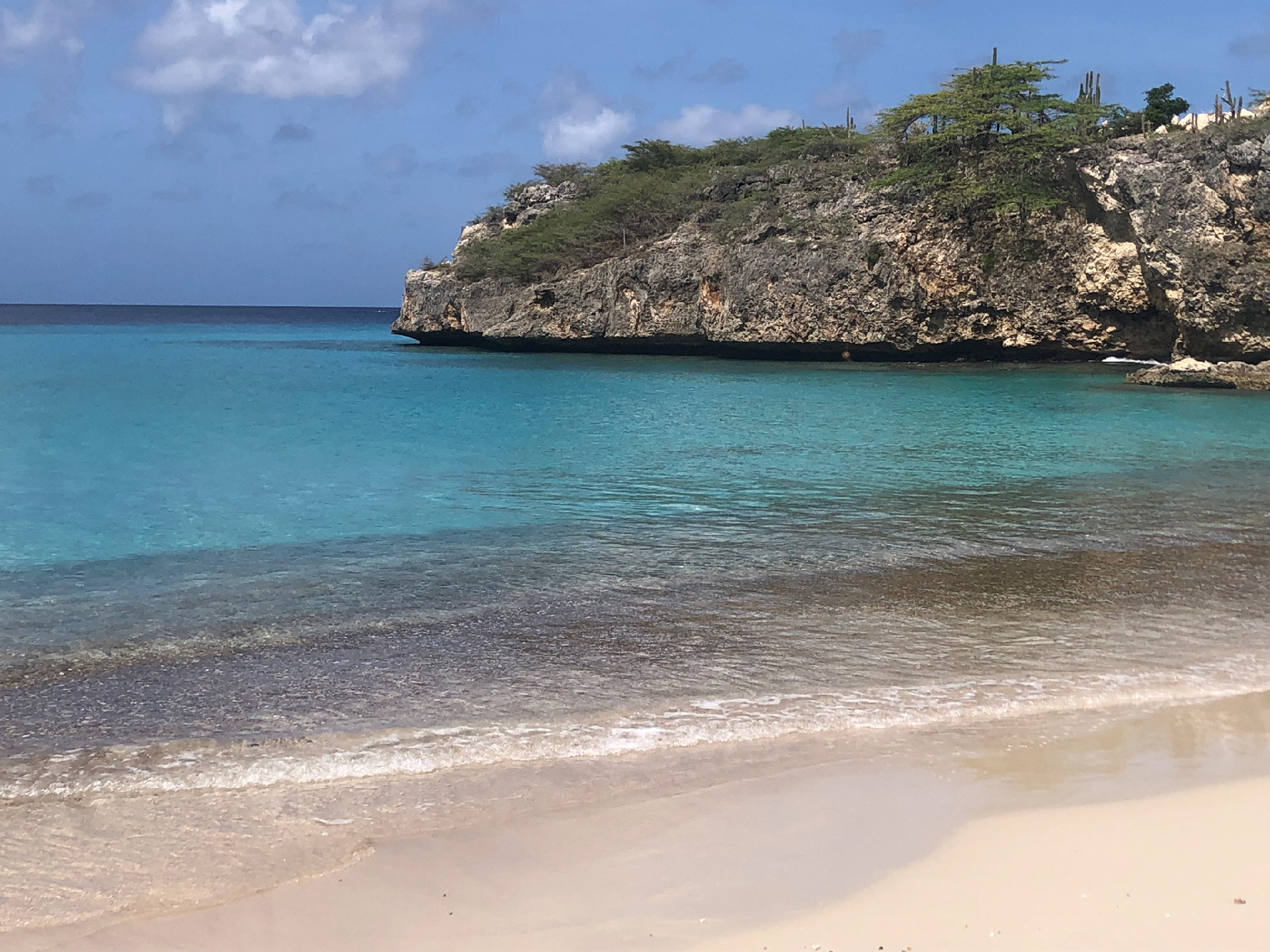 2025-11 Marazul Dive Reseort (Foto, Video)