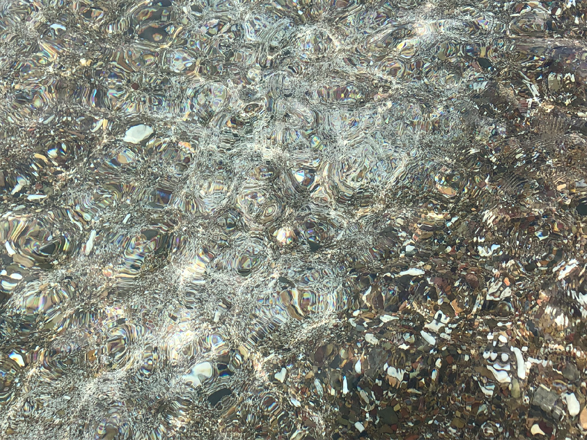 2025-11 Marazul Dive Reseort (Foto, Video)