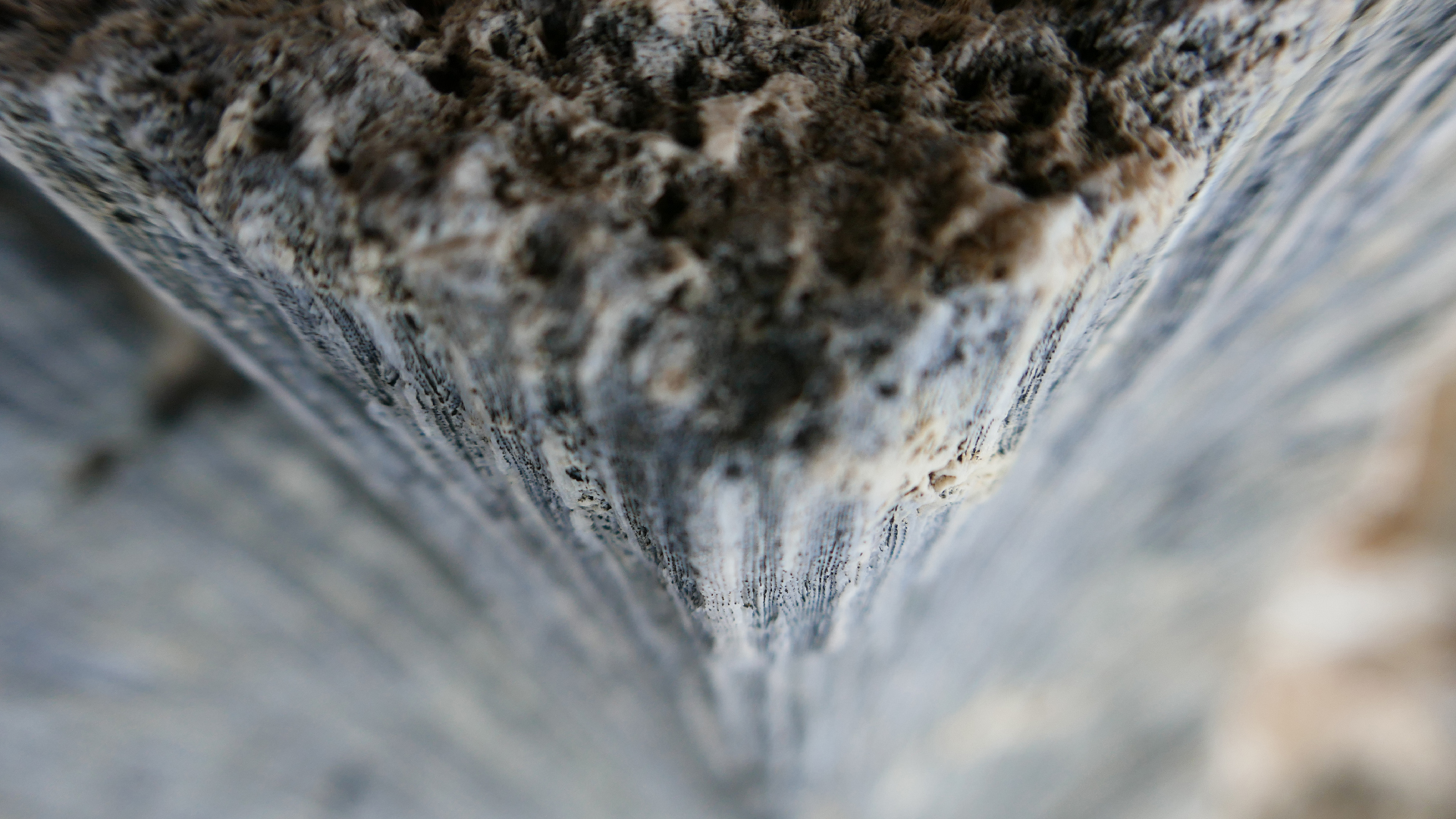 2025-11 Marazul Dive Reseort (Foto, Video)