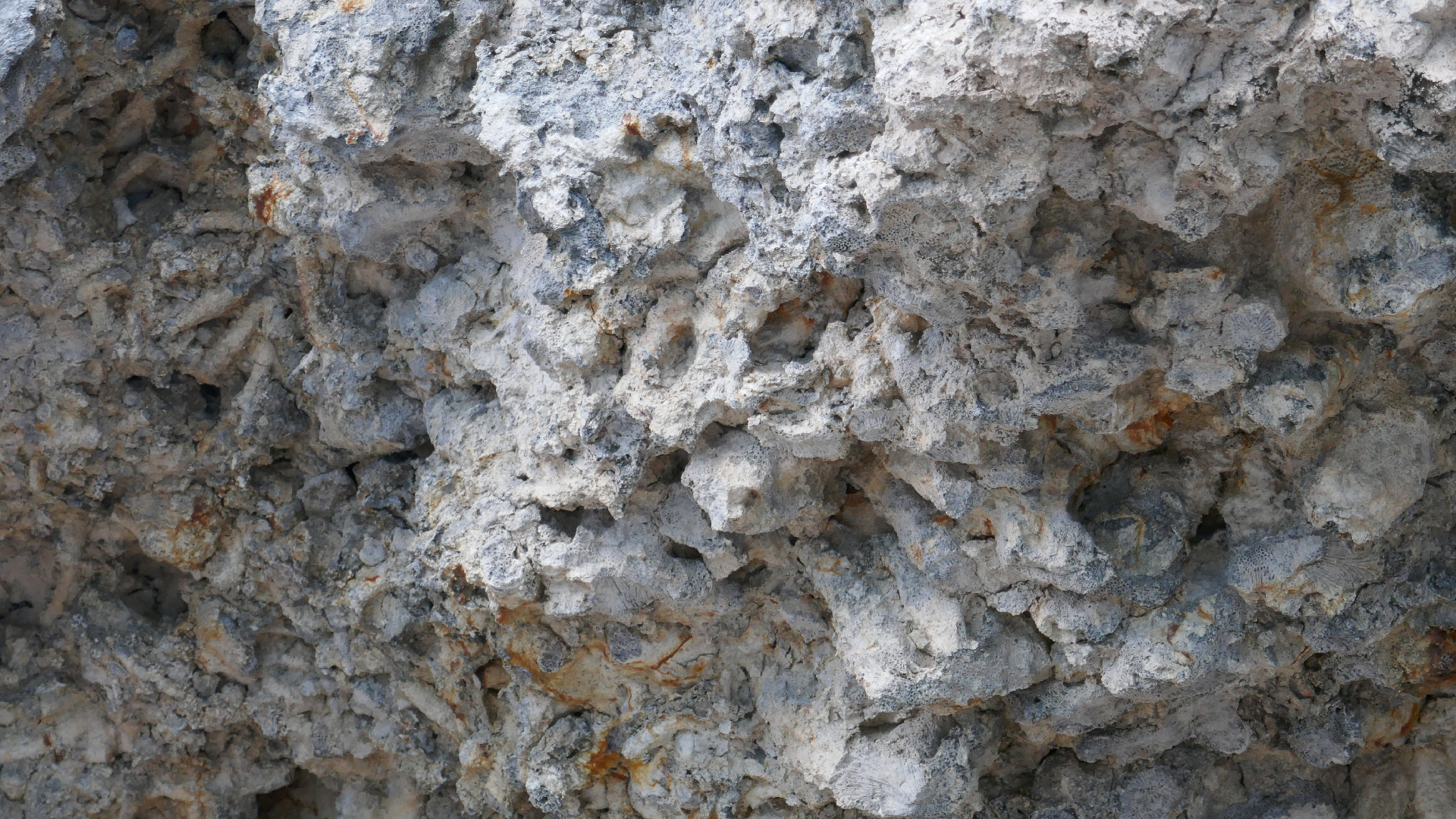 2025-11 Marazul Dive Reseort (Foto, Video)