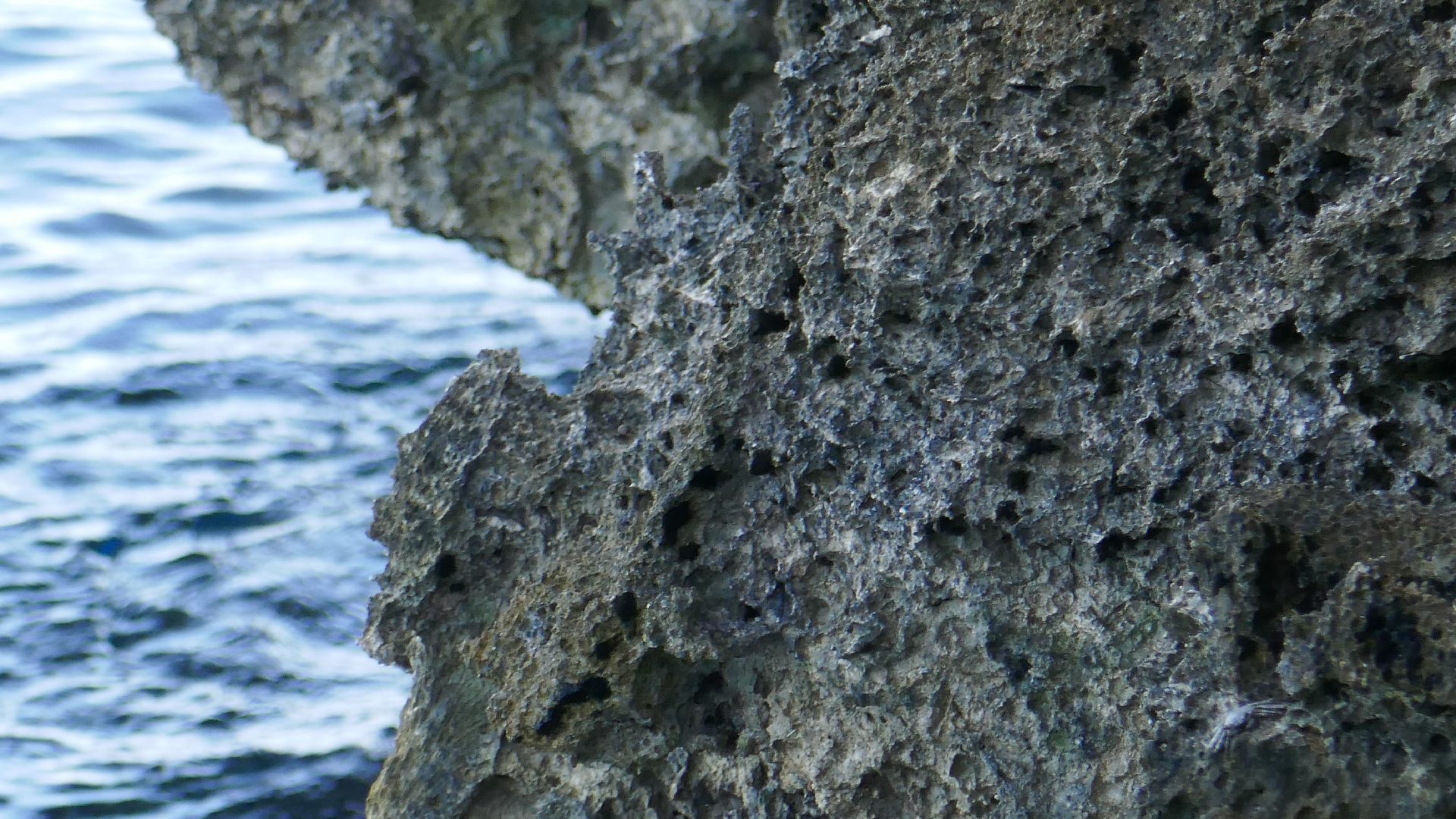 2025-11 Marazul Dive Reseort (Foto, Video)