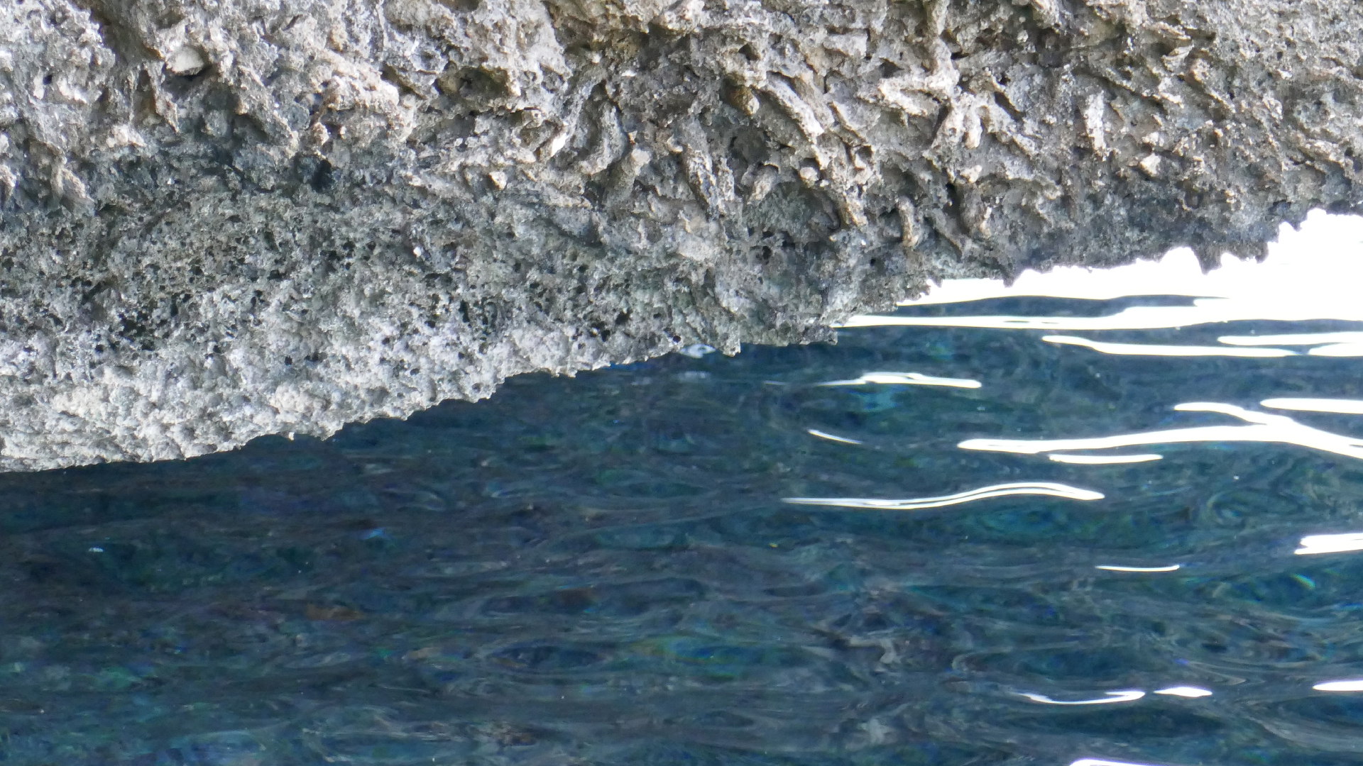 2025-11 Marazul Dive Reseort (Foto, Video)