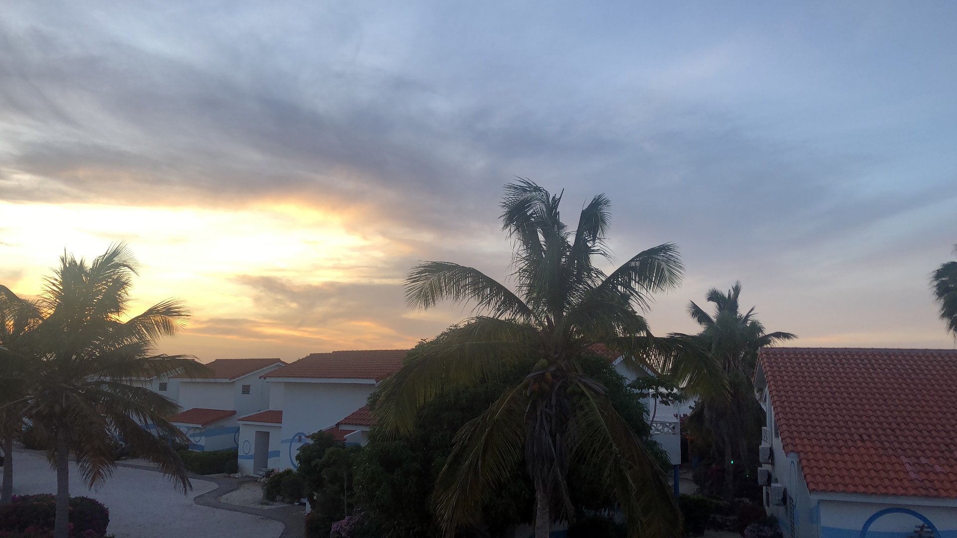 2025-11 Marazul Dive Reseort (Foto, Video)