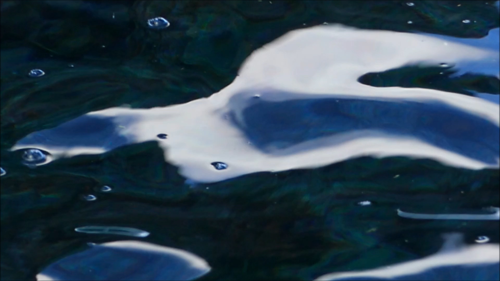 2025-11-06 10 Uhr 51 Marazul Dive Resort (Fieldrecording Video, Kamera 1)