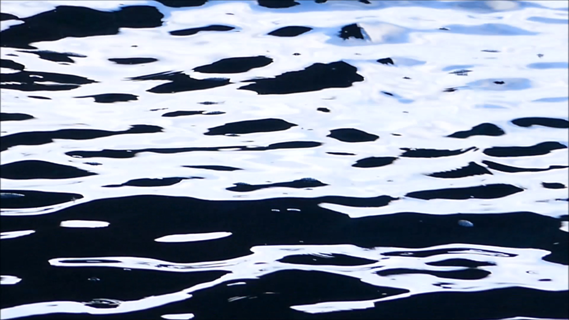 2025-11-09 09 Uhr 48 Marazul Dive Resort (Fieldrecording Video, Kamera 1)