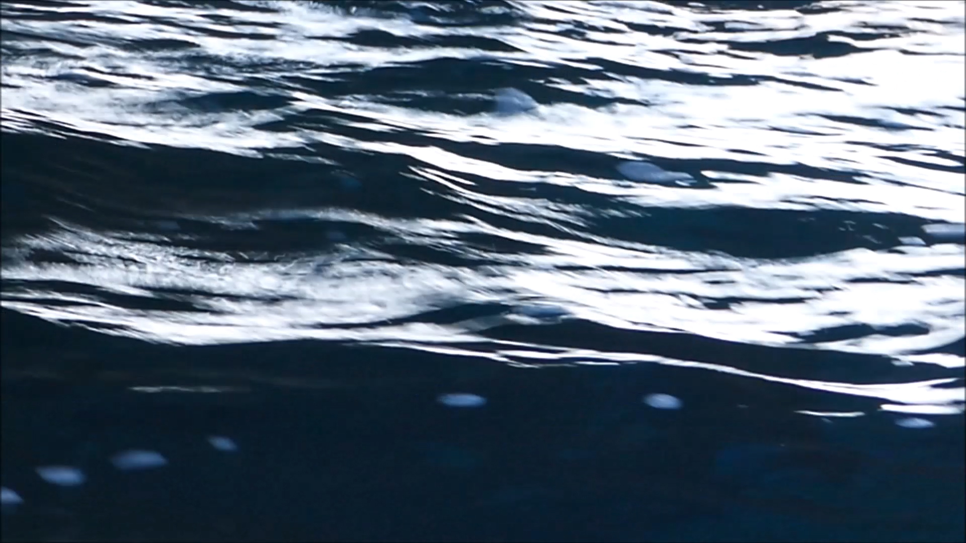 2025-11-14 09 Uhr 41 Marazul Dive Resort (Fieldrecording Video, Kamera 1)