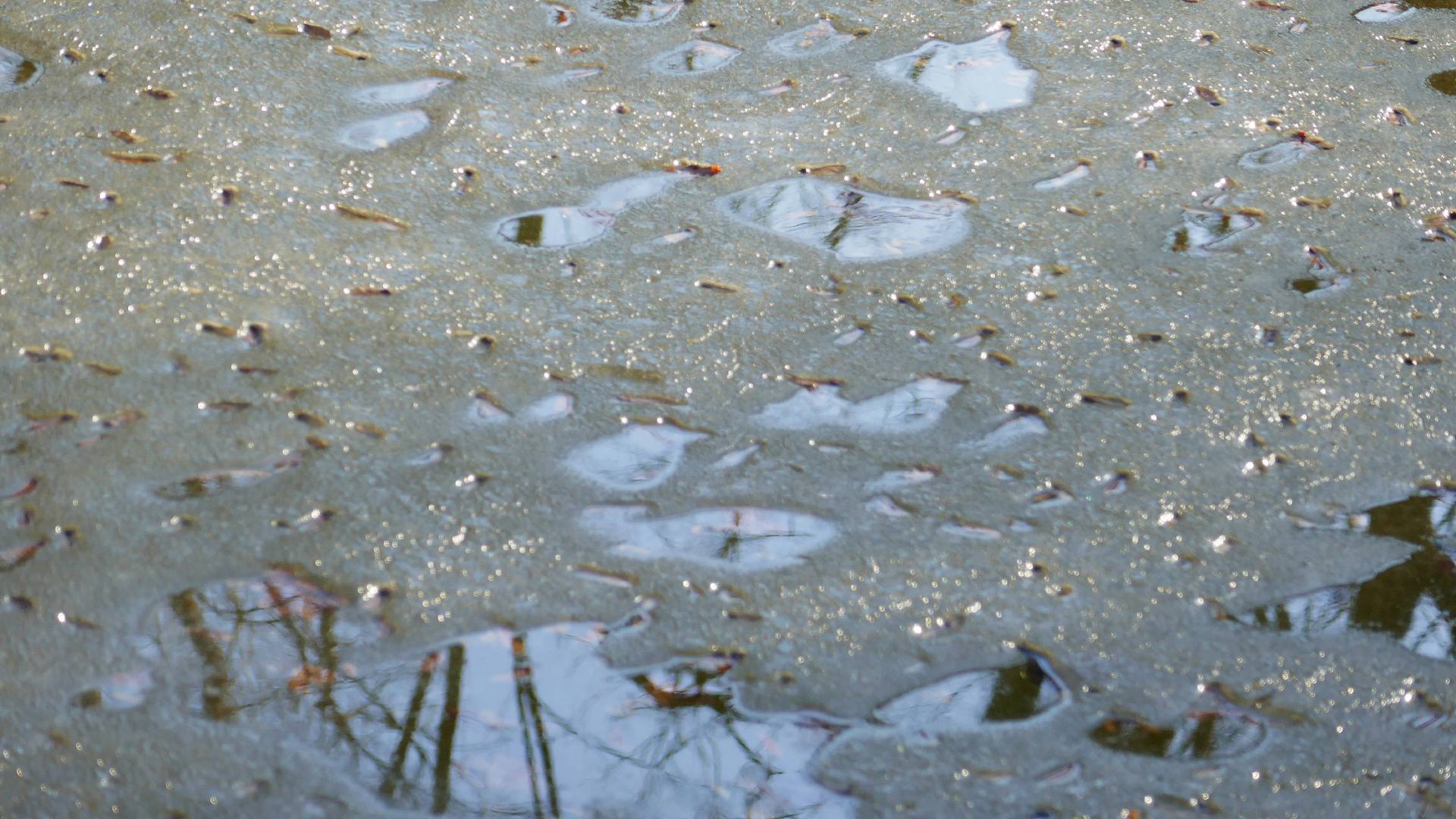 2026-03-03 Eisschmelze 1 (Fieldrecording Video)