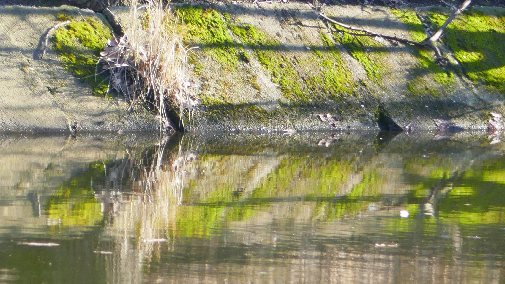 2026-03-03 Eisschmelze 1 (Fieldrecording Video)