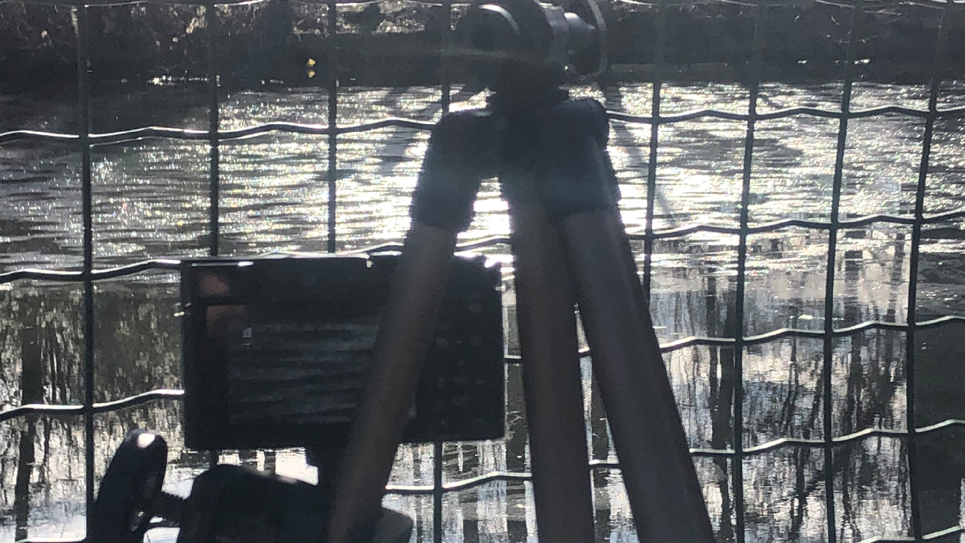 2026-03-04 Eisschmelze 2 (Fieldrecording Video)