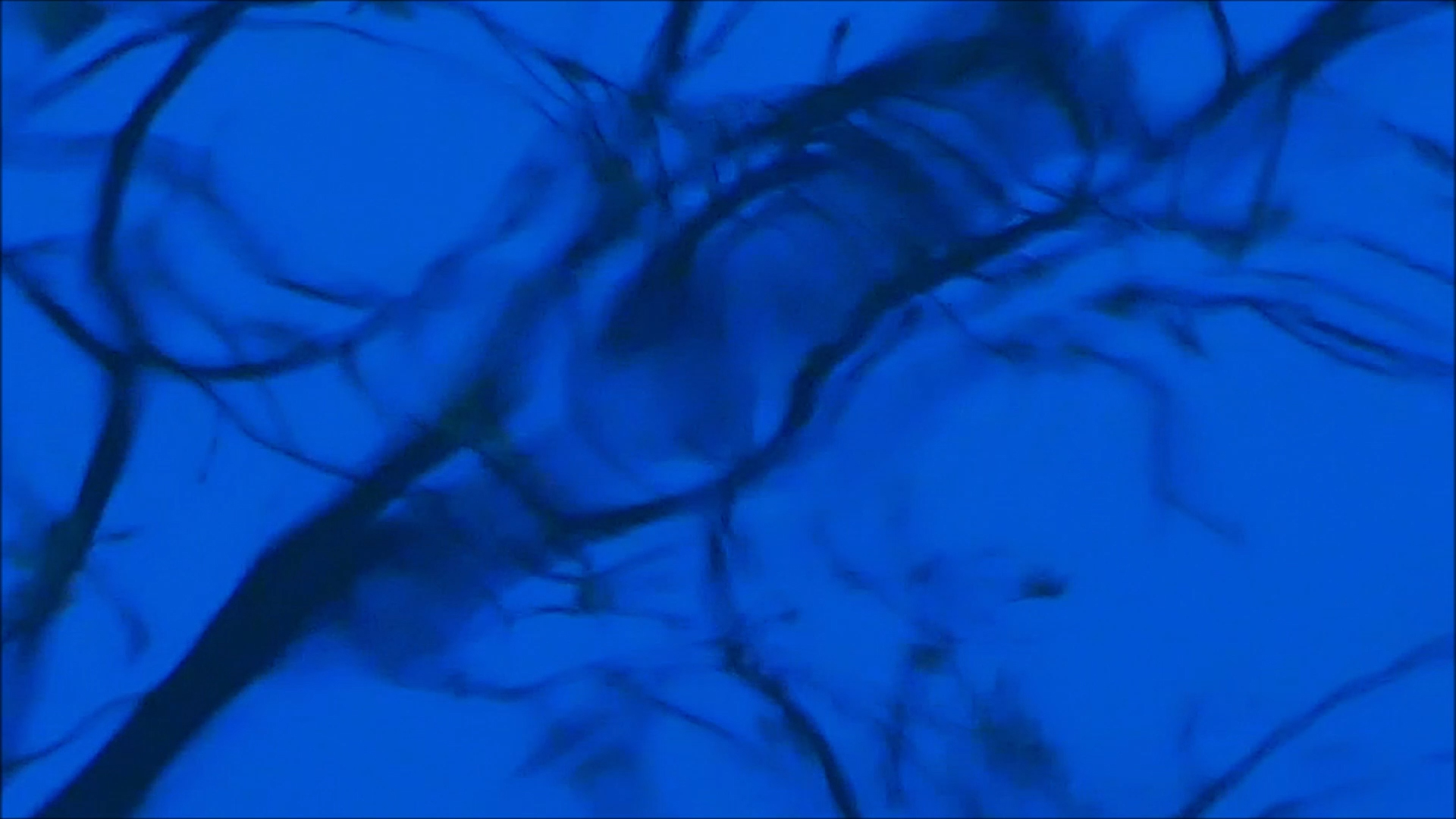 2026-04-16 20 Uhr 09 Kaleidoskop (Fieldrecording Video) (Kamera 1)