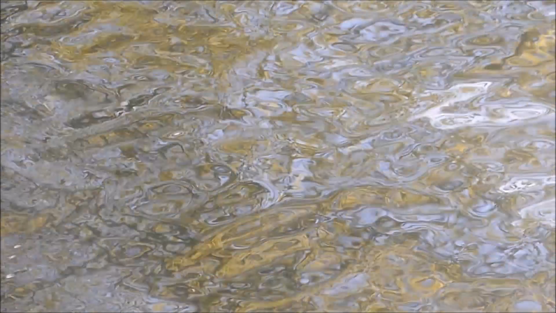 2026-04-17 16 Uhr 38 Kaleidoskop (Fieldrecording Video) (Kamera 2)